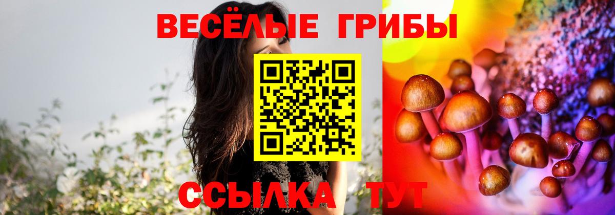 Аша  Псилоцибиновые грибы Psilocybine cubensis  Вход с VPN 